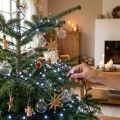 Catena a LED per riso 240er 18m bianco freddo | Floristik24.it
