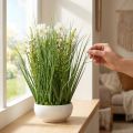 Erba decorativa con fiori di Cosmea in ciotola H45cm | Floristik24.it
