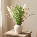 Fiori secchi cumino nero nigella verde 50cm 100g | Floristik24.it