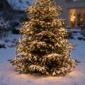Catena luminosa a LED per riso bianco caldo per esterno 720er 54m | Floristik24.it