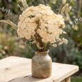Achillea artificiale in crema Fiori artificiali Achillea 30 cm 6 pezzi | Floristik24.it