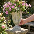 Vaso Pietra fusa Coppa Stile antico grigio Ø17,5cm A25cm | Floristik24.it