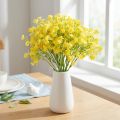 Gypsophila panicolata gesso erba fiori gialli L46cm 4 pz | Floristik24.it