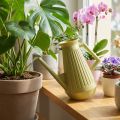 Annaffiatoio da interno, verde oliva, stile retrò, 24,5 cm, 1,8 l, annaffiatoio di design, plastica, irrigazione delle piante | Floristik24.it