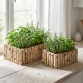 Cassetta per piante in legno per erbe aromatiche in betulla L23/28 cm set da 2 | Floristik24.it