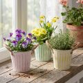 Vaso decorativo, secchio in metallo per piantare, fioriera con manici, set shabby chic rosa/verde/giallo da 3 pezzi Ø15cm H13cm | Floristik24.it