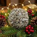 Decorazione natalizia Palla di Natale palla di neve bianca Ø10cm | Floristik24.it