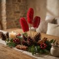 Luffa grande su stecco rossa 25 pz | Floristik24.it