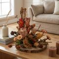 Coni di protea esotica essiccata Bellgum 24–48 cm 580 g - Decorazione floreale artificiale Sudafrica | Floristik24.it
