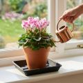 Sottobicchiere Lara quadrato 25cm x 25cm antracite 1 pz | Floristik24.it
