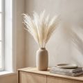 Fiori secchi, erba argentata. Elegante decorazione naturale per la casa e l'ufficio. 70 cm, 10 pezzi. | Floristik24.it