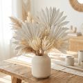 Palmspear Sun mini imbiancato 50 pz | Floristik24.it