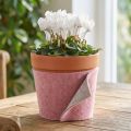 Nastro in feltro, nastro in vaso bicolore rosa antico/grigio 15 cm 5 m | Floristik24.it