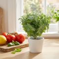 Verde artificiale menta 25 cm 12 pz | Floristik24.it