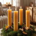 Candele in tinta unita candele a bastoncino miele 50x300mm 4 pz | Floristik24.it