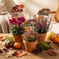 Decorazione a forma di fiore con agarico di mosca, decorazione autunnale con riccio, 8 cm, 12 pezzi | Floristik24.it