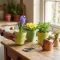 Cachepot di carta, fioriera, vaso per piantare blu/verde Ø13cm H12.5cm 4pz | Floristik24.it