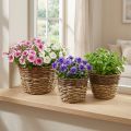 Cesto naturale per piantare, decorazione cesto, ciotole per piante naturale L21/19/16 cm H21/19/16 cm set di 3 | Floristik24.it