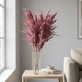 Erba di canna essiccata, erba decorativa essiccata, rosa antica, 75 cm, 10 pezzi | Floristik24.it