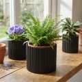 Vaso di carta per fiori nero Ø19cm H14cm 3 pezzi | Floristik24.it