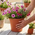 Vaso “Irys” plastica terracotta Ø29cm H24cm 1 pz | Floristik24.it