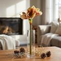 Fiore di amaryllis artificiale in rosa e giallo - 66 cm - idea regalo ideale e decorazione elegante per interni | Floristik24.it