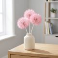 Decorazione di fiori secchi con tarassaco gigante, elegante accessorio per la casa, 12 cm, 4 pezzi | Floristik24.it
