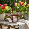 Annaffiatoio decorativo in vetro lanterna metallo rosso Ø14cm H13cm | Floristik24.it