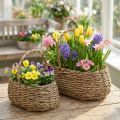 Cesto per piante con manico cesto per fiori L23/35 cm set da 2 | Floristik24.it
