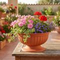 Ciotola con base in terracotta Ø35cm | Floristik24.it
