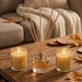Set regalo candele profumate per ambienti in vetro profumato alla vaniglia | Floristik24.it