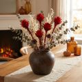 Plumosum 1 Rosso 25 pz | Floristik24.it