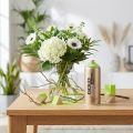 Vernice spray vernice spray verde mela vernice acrilica Montana Gold 400ml | Floristik24.it