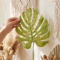 Foglie decorative di Monstera per decorazioni boho e urban jungle | Floristik24.it