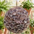 Conchiglie decorative a forma di conchiglia per appendere decorazioni marittime Ø18 cm | Floristik24.it