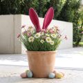 Orecchie decorative coniglietto rosa per bastoncino floccato pasquale H56cm | Floristik24.it