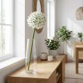 Fiore decorativo Allium, porro palla artificiale, cipolla ornamentale bianca Ø20cm L72cm | Floristik24.it