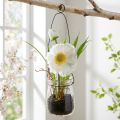 Papavero in vetro da appendere bianco H22cm | Floristik24.it