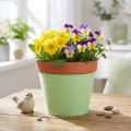 Nastro in feltro per vasi verde chiaro 15 cm 5 m | Floristik24.it