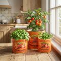 Set di vasi Motivo pomodoro Vasi in ceramica decorativi per arredamento retrò e piante 14 cm, set da 3 | Floristik24.it