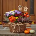Casetta per uccelli decorativa, in legno di betulla, 5 cm, con supporti per fiori, 4 pezzi | Floristik24.it