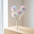 Decorazione di tarassaco, fiore essiccato, stabilizzato e tinto, delicato, resistente, 12 cm, 4 pezzi | Floristik24.it