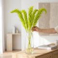 Fiori secchi tinti Amaranto per decorazioni di casa e accenti unici 100 cm, 5 pezzi | Floristik24.it