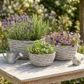 Set di cestini per piante in vimini, bianco-grigio, decorazione shabby chic, 3 pezzi | Floristik24.it