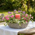 Fioriera in salice, bianca, aspetto naturale, anello decorativo per un design creativo del giardino, Ø35/30 cm, set da 2, versatile | Floristik24.it