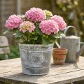 Vaso da fiori in metallo stile Shabby Chic con decorazione a forma di cuore, Ø22cm, H17.5cm | Floristik24.it