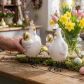 Pollo decorativo con uovo d'oro, porcellana di Pasqua, gallina di Pasqua H12cm 2pz | Floristik24.it