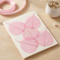 Foglie scheletriche, foglie decorative di salice rosa 5-9 cm, 200 pezzi - Ideali per biglietti di auguri e fai da te | Floristik24.it