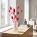 Decorazione di cardo selvatico essiccato, cardi rosa, 53 cm, 10 teste | Floristik24.it