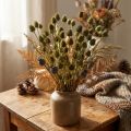Decorazione essiccata a forma di cardo fragola, verde oliva, Ø1–2cm, L55cm, 100g | Floristik24.it